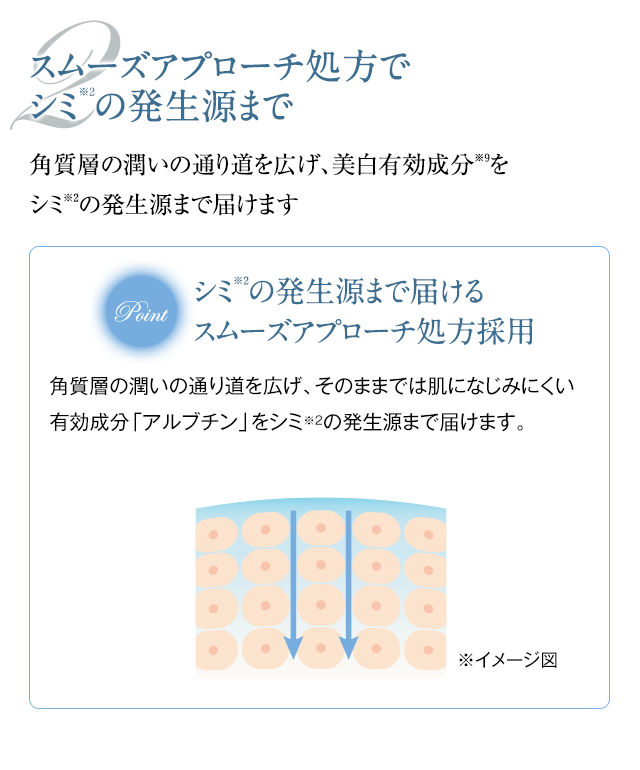 2・スムーズアプローチ処方でシミの発生源まで
