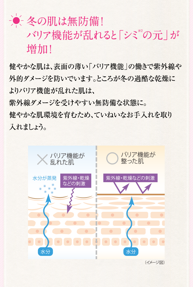 冬の肌は無防備 ！ バリア機能が乱れると「シミ※2の元」が増加！