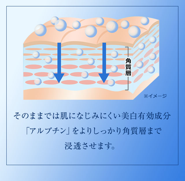 そのままでは肌になじみにくい美白有効成分「アルブチン」をよりしっかり角質層まで浸透させます。