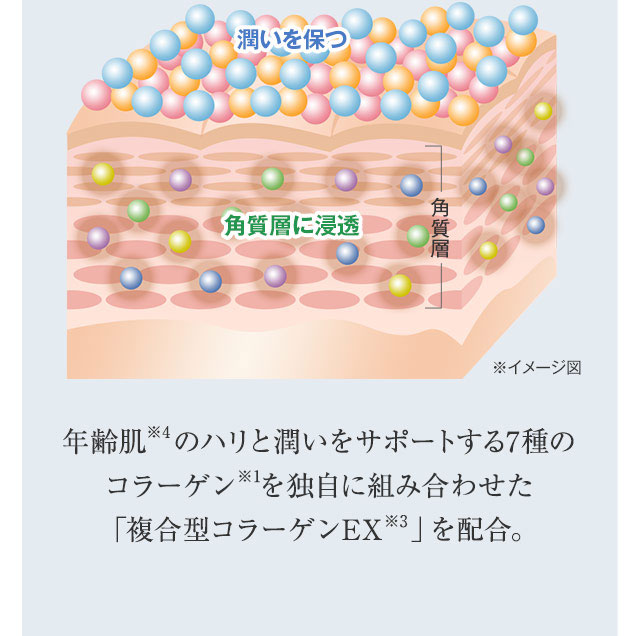 年齢肌のハリと潤いをサポートする7種のコラーゲンを独自に組み合わせた「複合型コラーゲンEX」を配合。