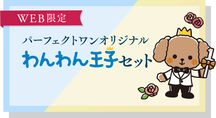 WEB限定、パーフェクトワンオリジナルわんわん王子セット